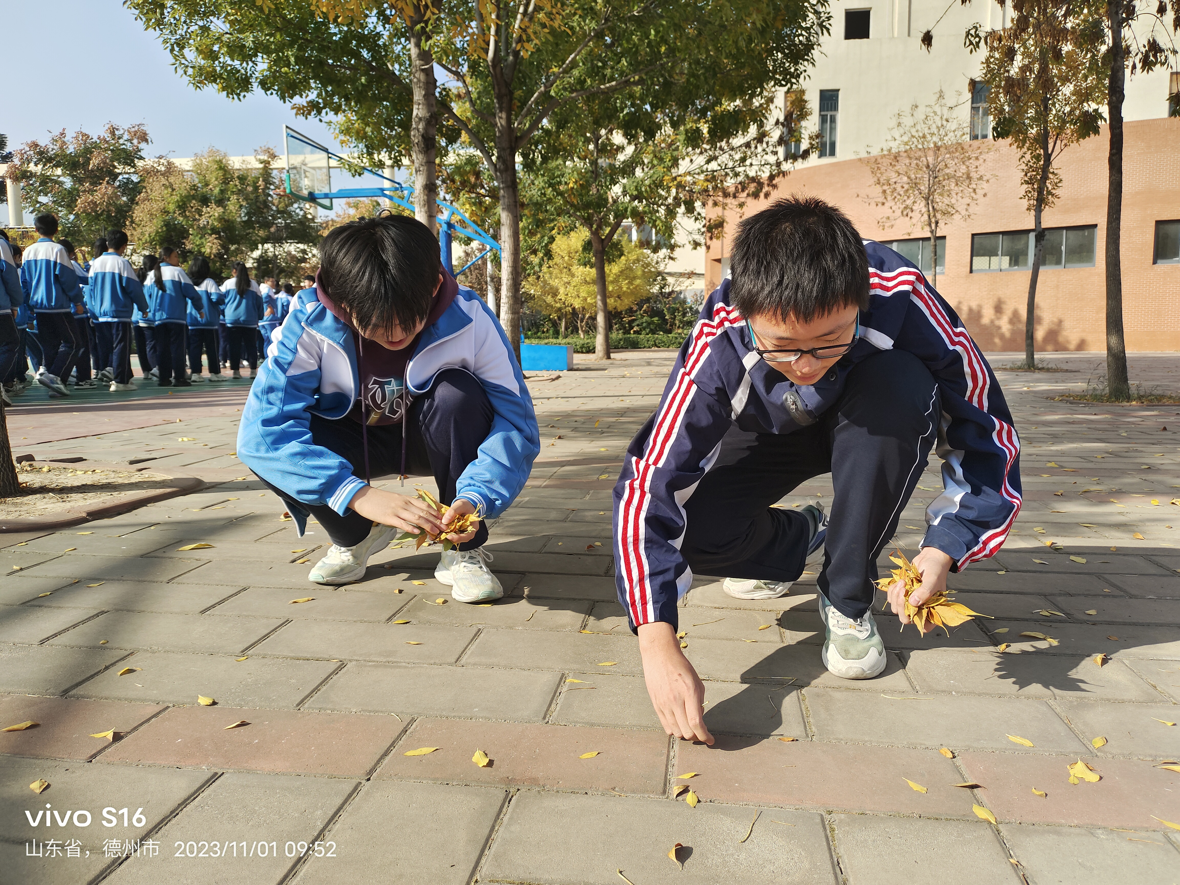 微信图片_20231101234527