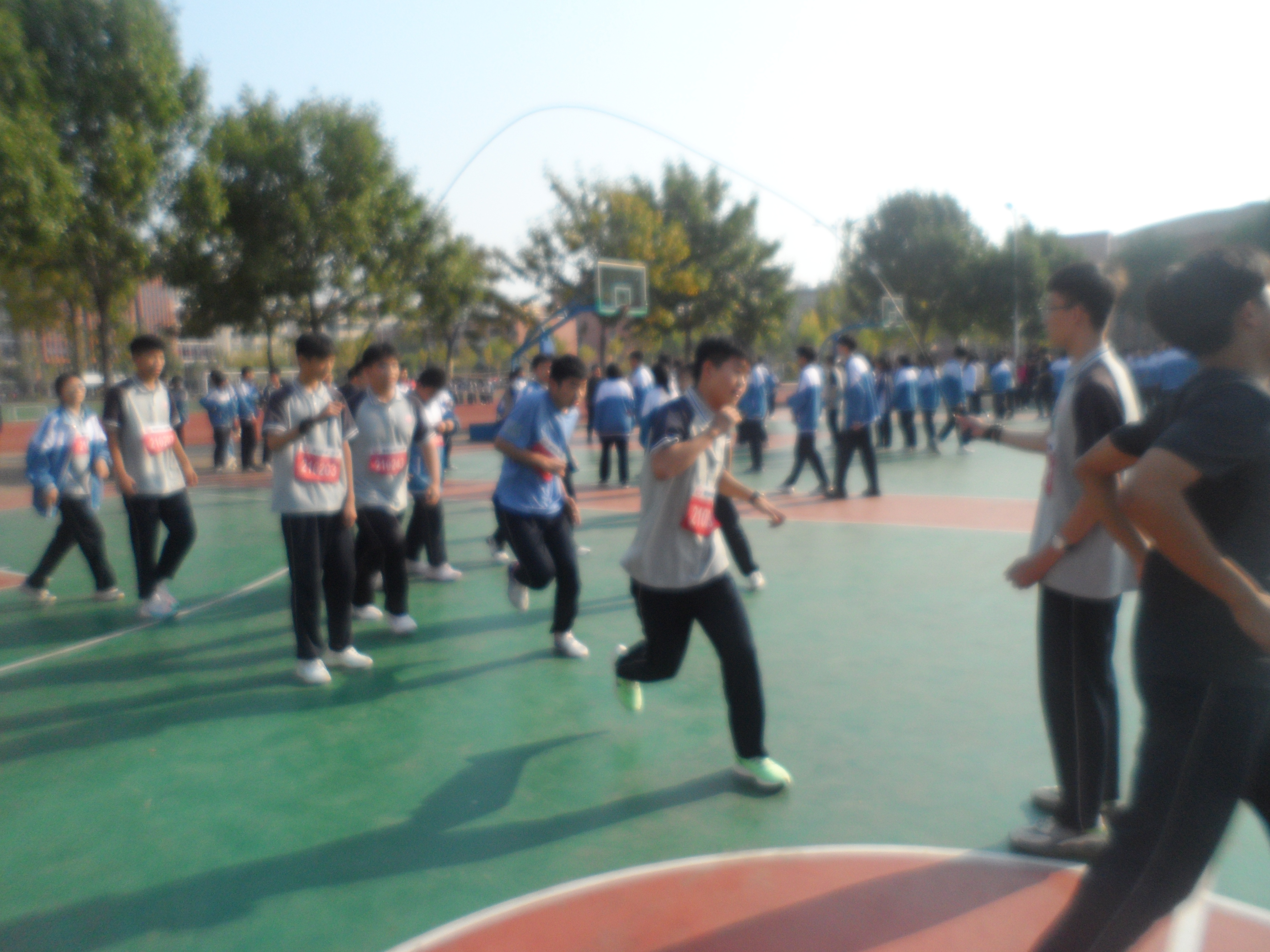 SAM_4455